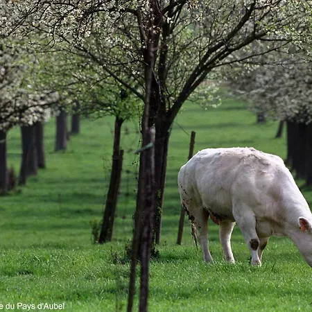 O Macra House - Aubel, Pays De Herve *