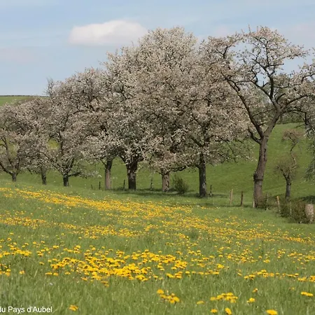 O Macra House - Aubel, Pays De Herve 別荘 オベル