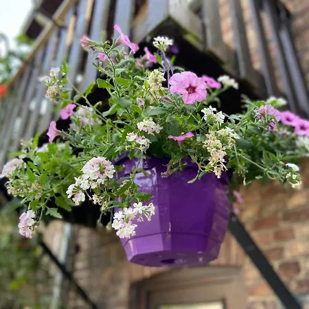 別荘 O Macra House - Aubel, Pays De Herve