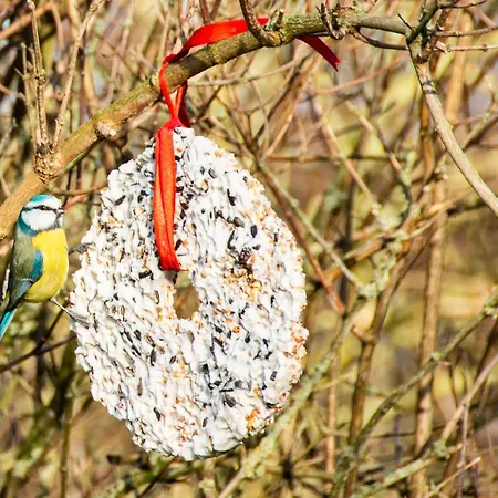 別荘 O Macra House - Aubel, Pays De Herve *